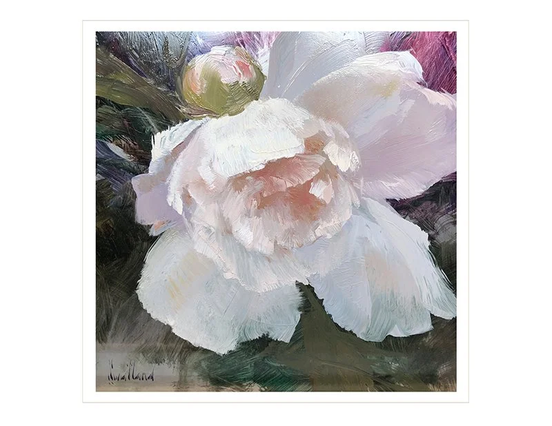 Peony Bloom I