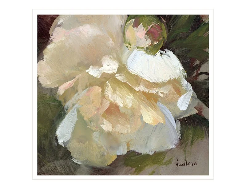 Peony Bloom II